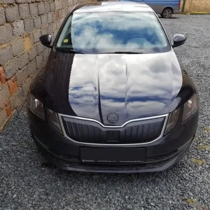 Škoda Octavia III Facelift 17-20 - zimní clona přední masky KI-R Akce